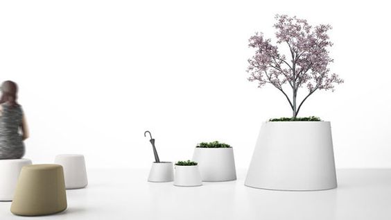 decoración